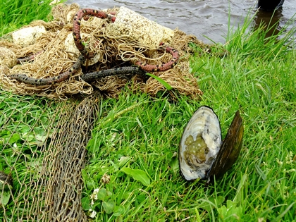 Łowisko